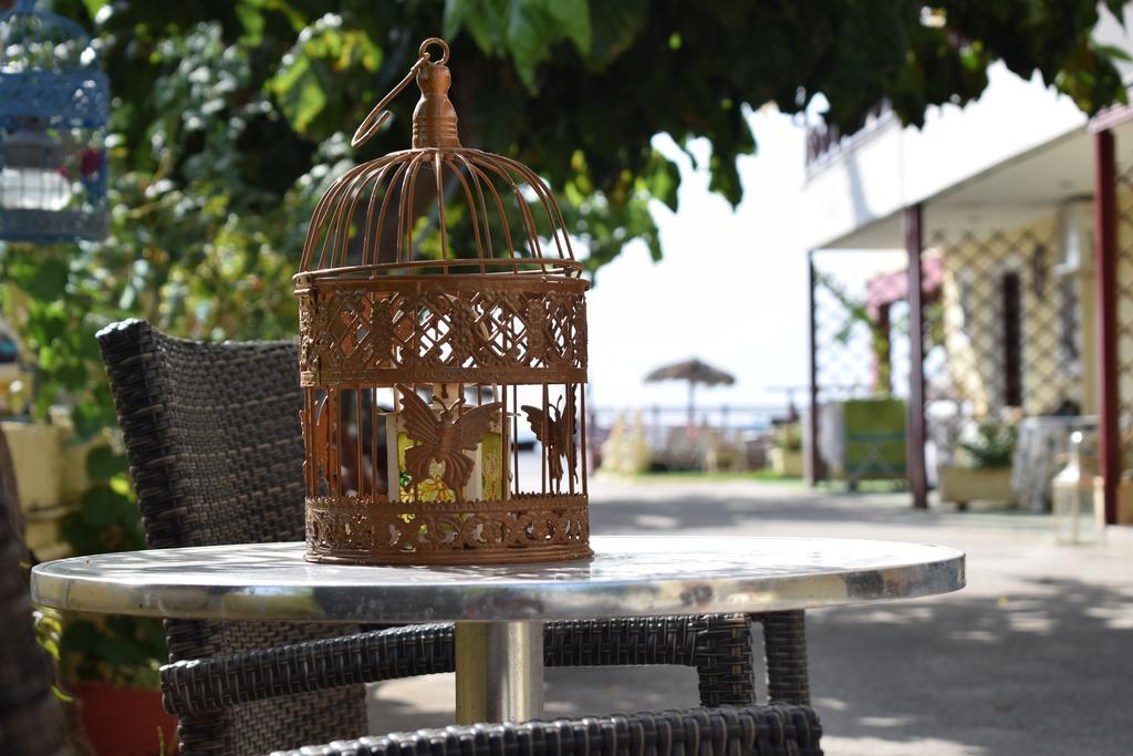 Akrotiri Apartament