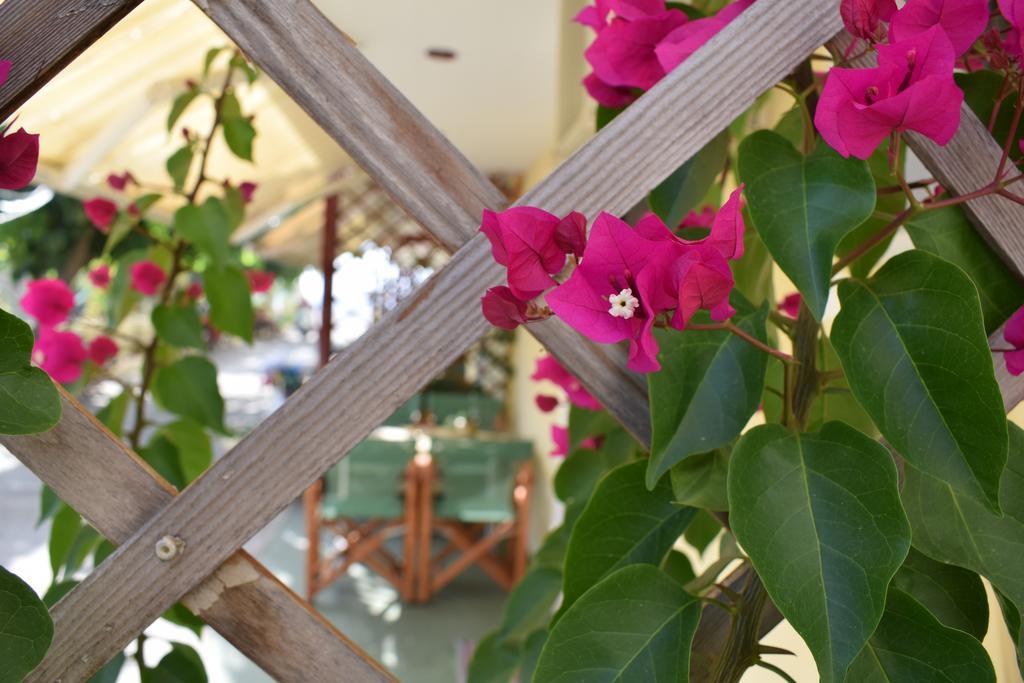 Apartment Akrotiri Rooms *