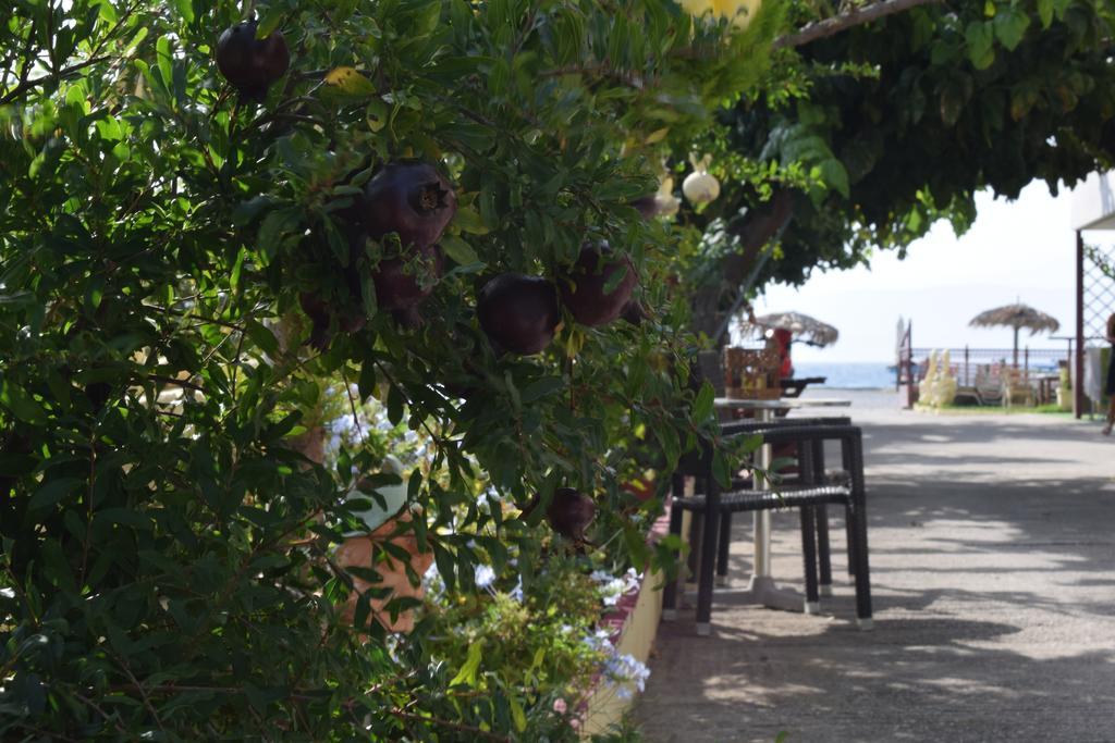 Apartment Akrotiri Rooms